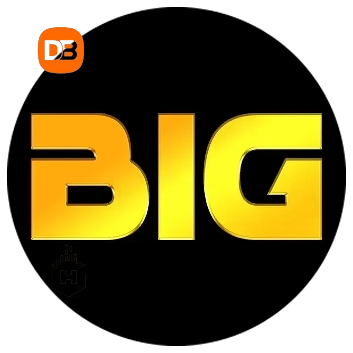 Logo bighoki